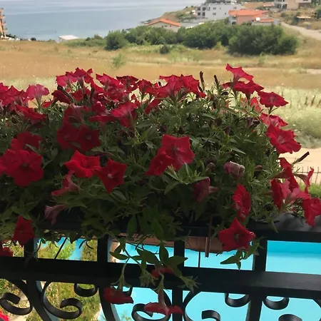 Луксозна вила Coral Luxury Villas