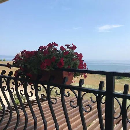 Coral Luxury Villas *